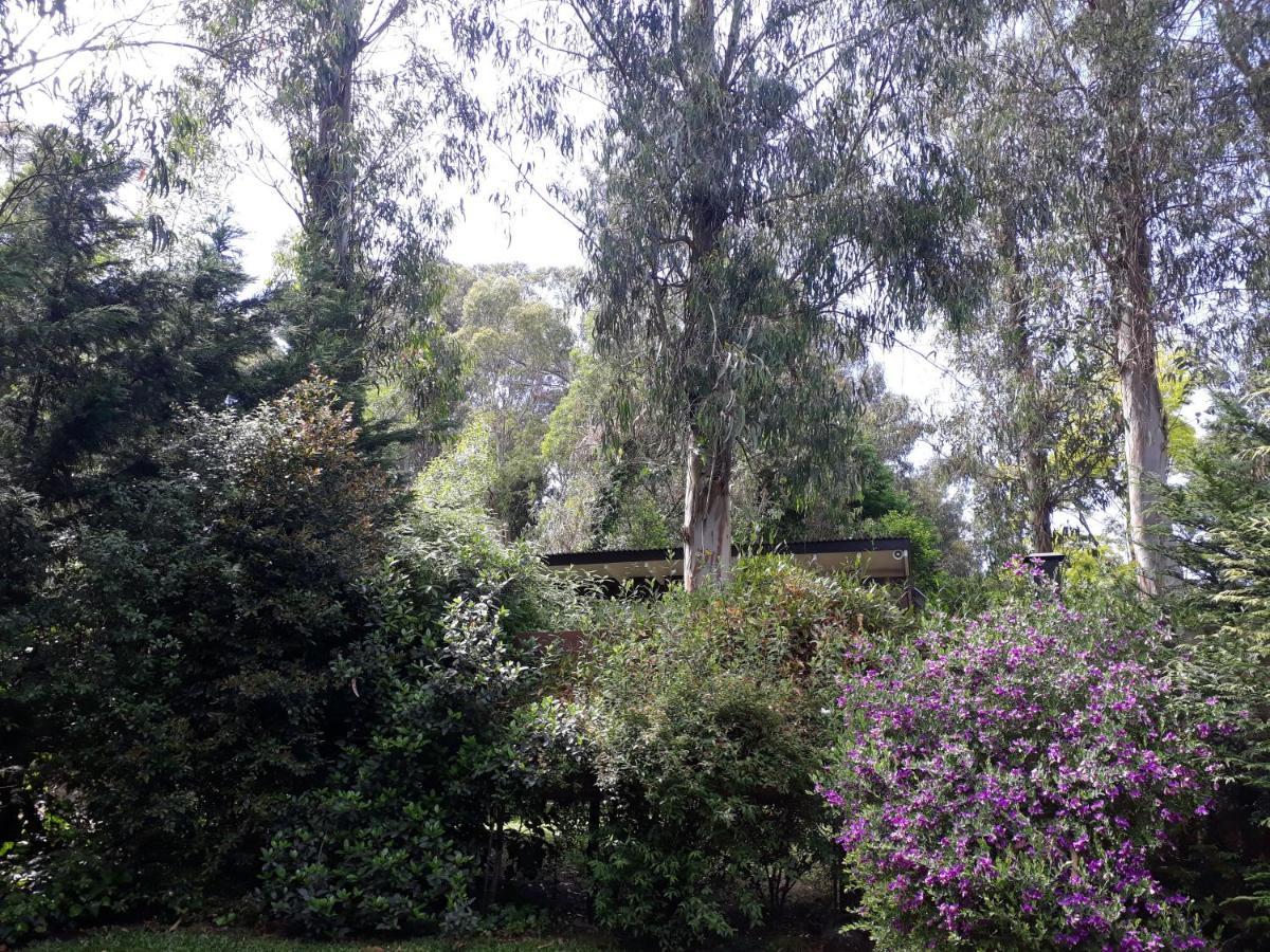 Las Cortaderas Bosque Peralta Ramos Mar del Plata Exteriör bild