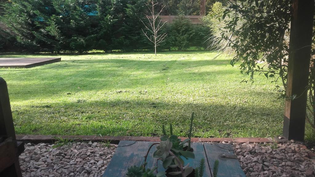 Las Cortaderas Bosque Peralta Ramos Mar del Plata Exteriör bild
